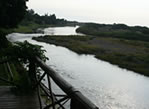 Sample Photo